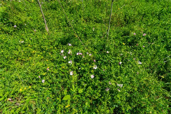 $312,090 | 0 Fm 1161, East Bernard, TX 77435