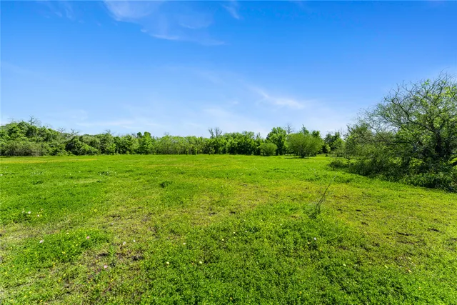 a view of a grassy field with trees