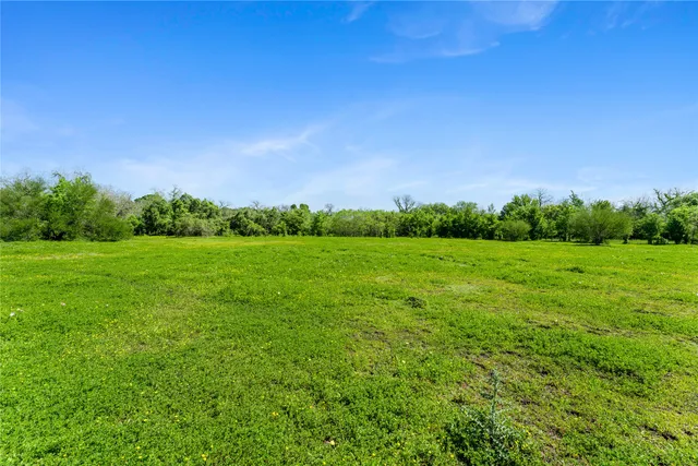 a view of a green field with plants and large trees