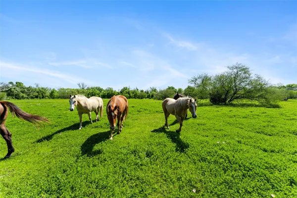 $312,090 | 0 Fm 1161, East Bernard, TX 77435