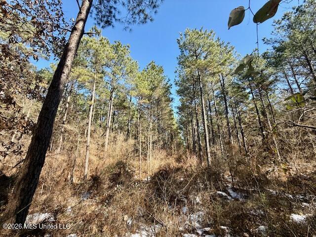 Debutte Road Bastrop, LA 71220 - Photo 6 of 28 IMG_7547