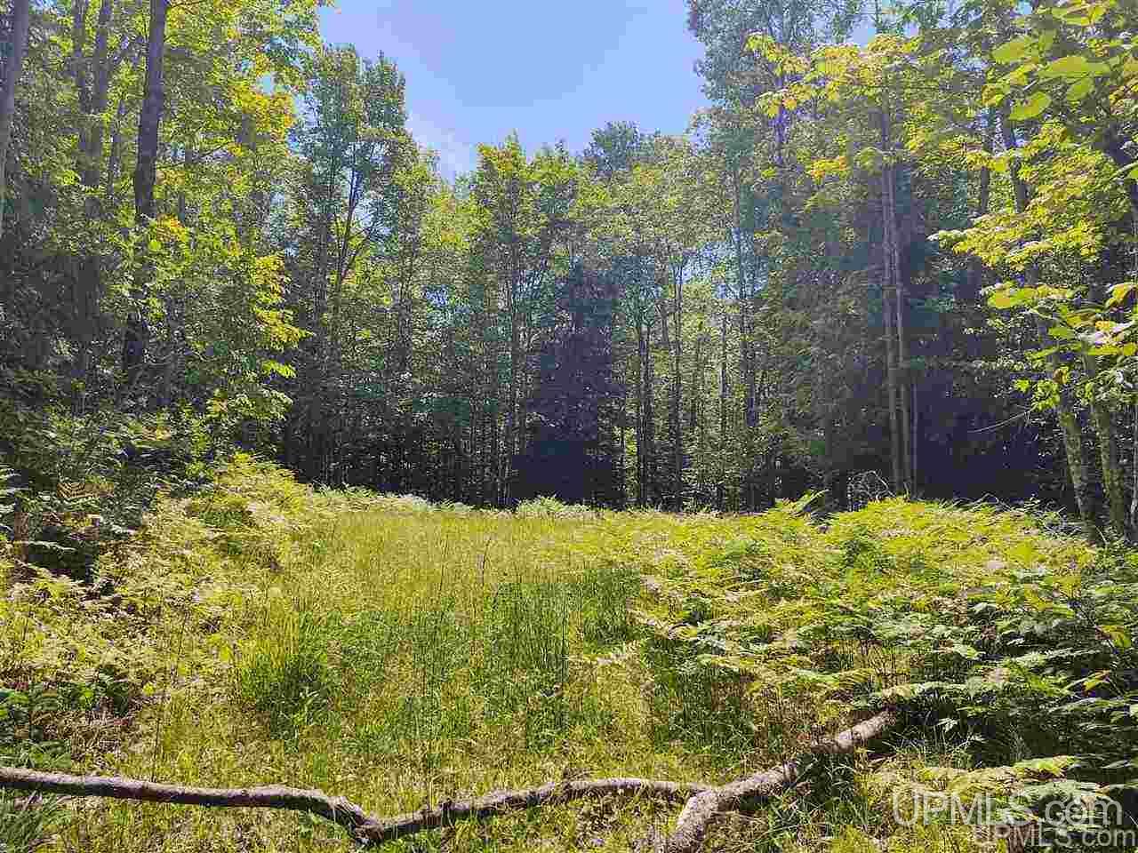 Tbd Tbd Indian Cemetery Road Lanse, MI 49946 - Photo 1 of 40