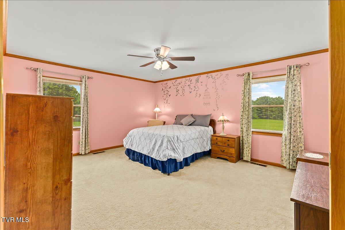7275 Erwin Highway Chuckey, TN 37641 - Photo 19 of 43 22-128A1549