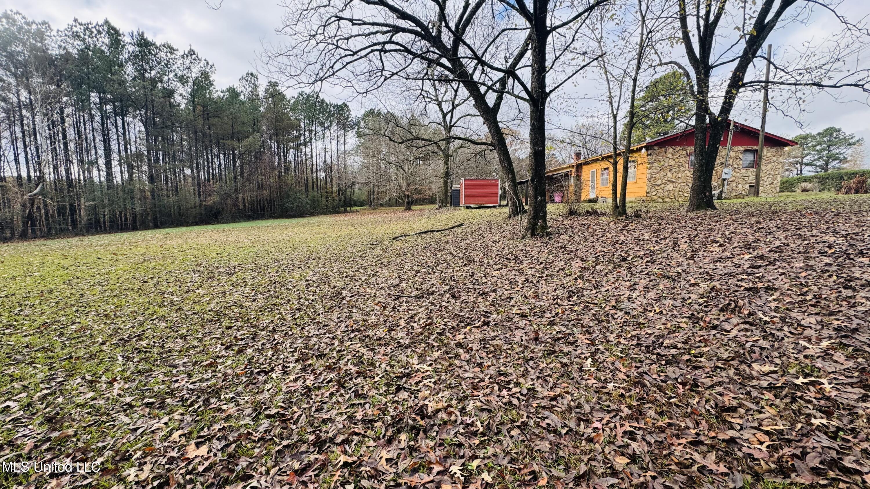 15980 Highway 315 Sardis, MS 38666 - Photo 3 of 4 FullSizeRender