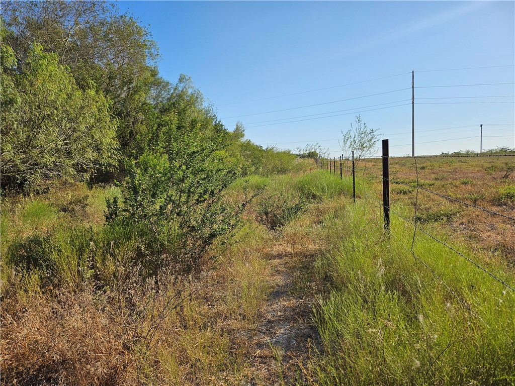 24024 441st Circle Mathis, TX 78368 - Photo 50 of 57 Gallery Image 50
