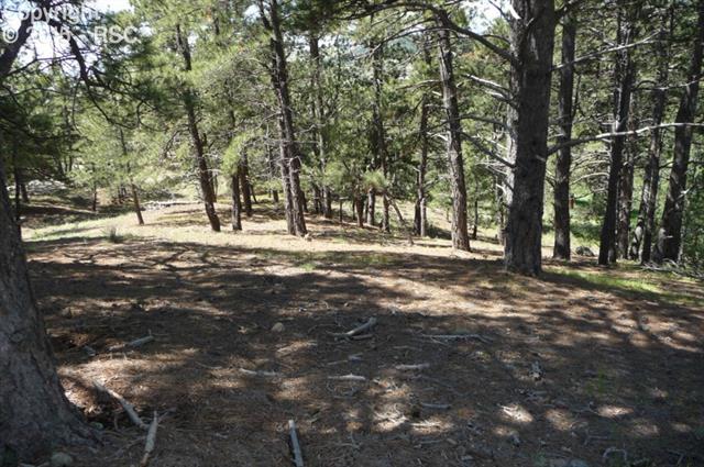 18145 Cumbres Road Peyton, CO 80831 - Photo 12 of 30 Gallery Image 12