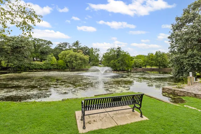 a view of a lake with a yard