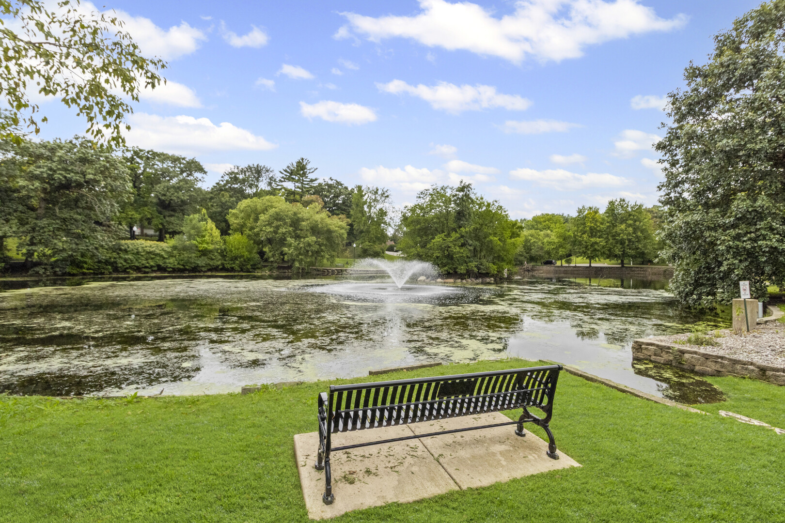 102 South Liberty Street, Unit 3 Elgin, IL 60120 - Photo 16 of 18 a view of a lake with a yard