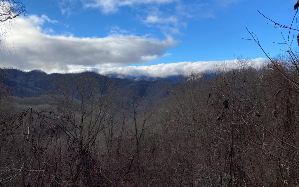 Lot Off Lot Off Buck Naked Road Bryson City, NC 28713 - Photo 7 of 7