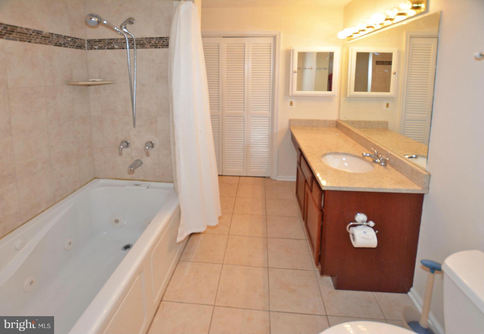 2293 Hunter's Run Drive, Unit 2293 Reston, VA 20191 - Photo 14 of 20 Bath (Master)