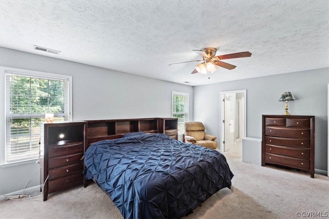 84 Albertson Court Ruther Glen, VA 22546 - Photo 19 of 46