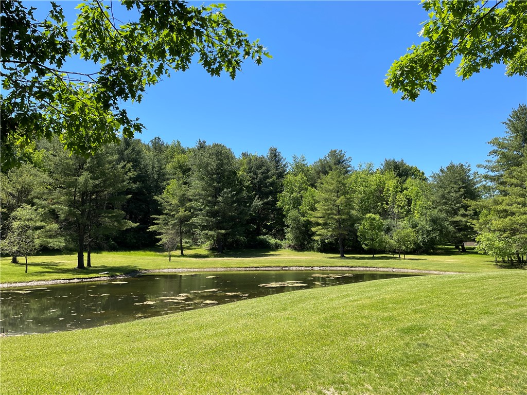 5087 Hagerty Road Middlesex, NY 14507 - Photo 5 of 37