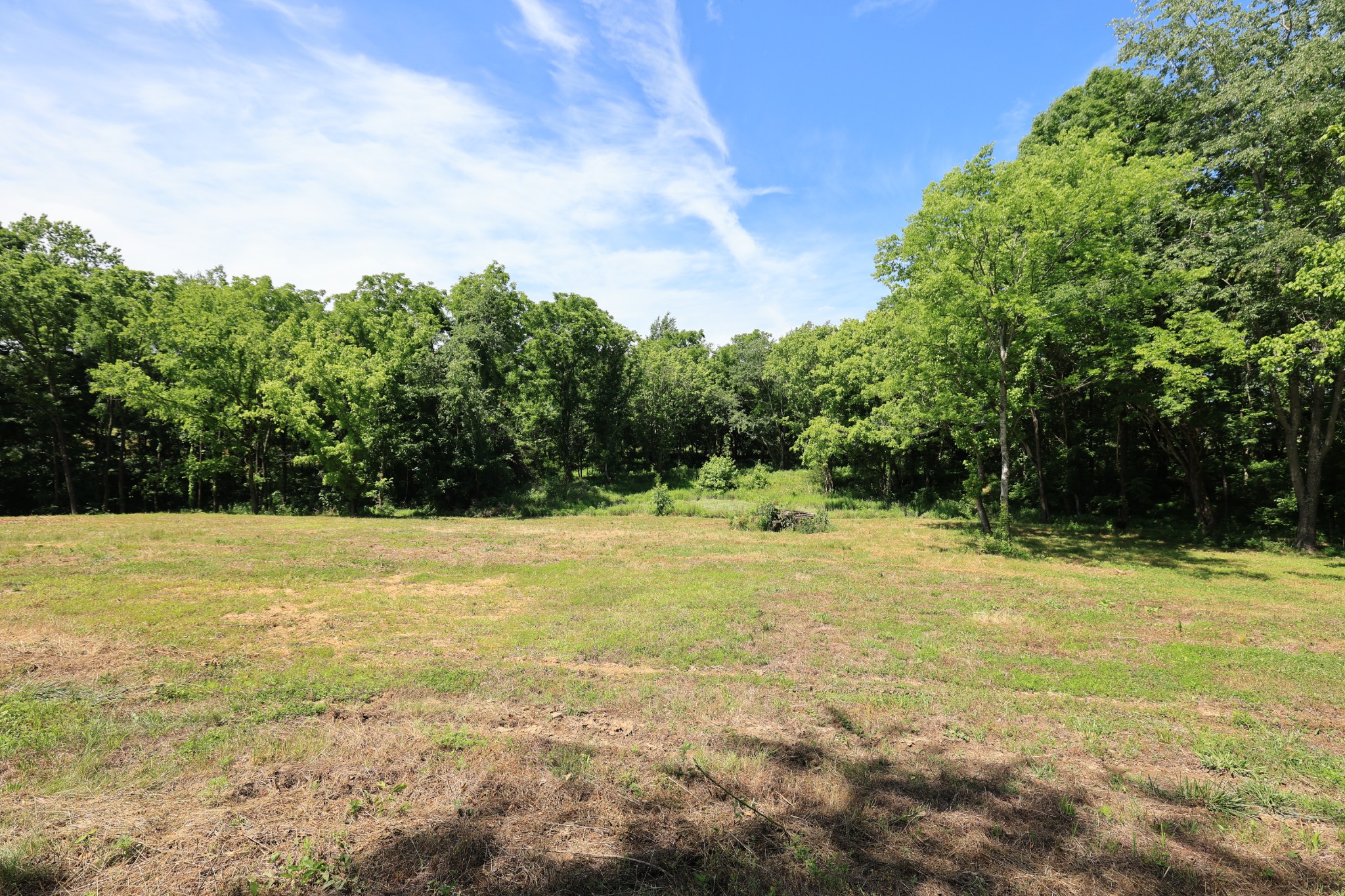 5 Poplar Ridge Lane Chapmansboro, TN 37035 - Photo 12 of 34 a view of a yard with a trees