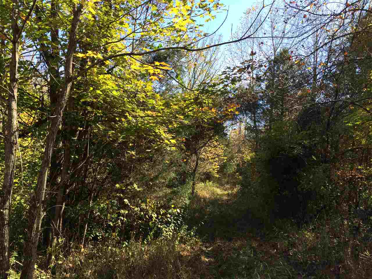 3500 South Dry Branch Road Bloomfield, IN 47424 - Photo 21 of 31 Gallery Image 21