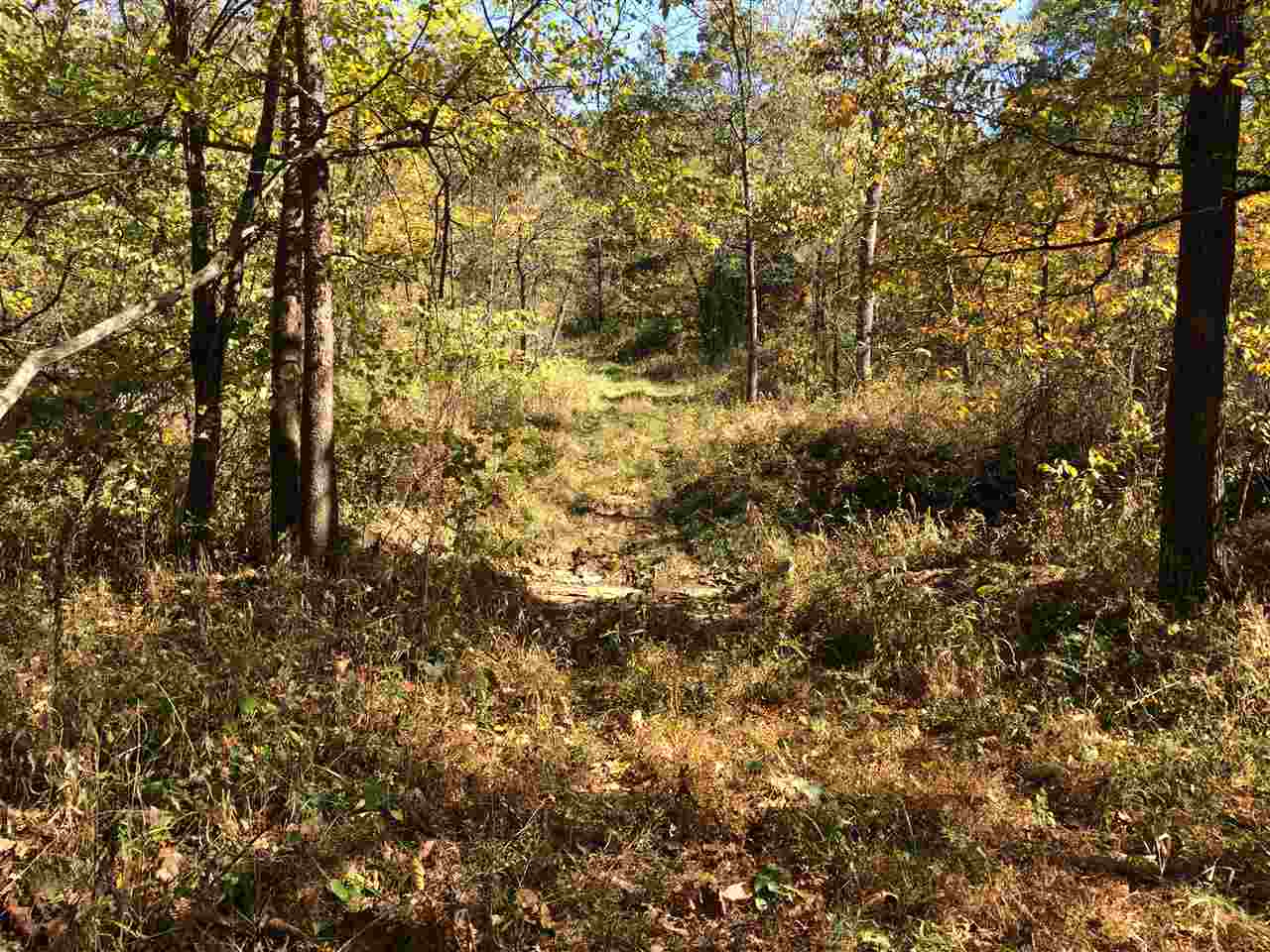 3500 South Dry Branch Road Bloomfield, IN 47424 - Photo 23 of 31 Gallery Image 23