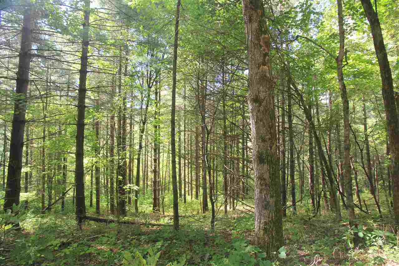 3500 South Dry Branch Road Bloomfield, IN 47424 - Photo 28 of 31 Gallery Image 28