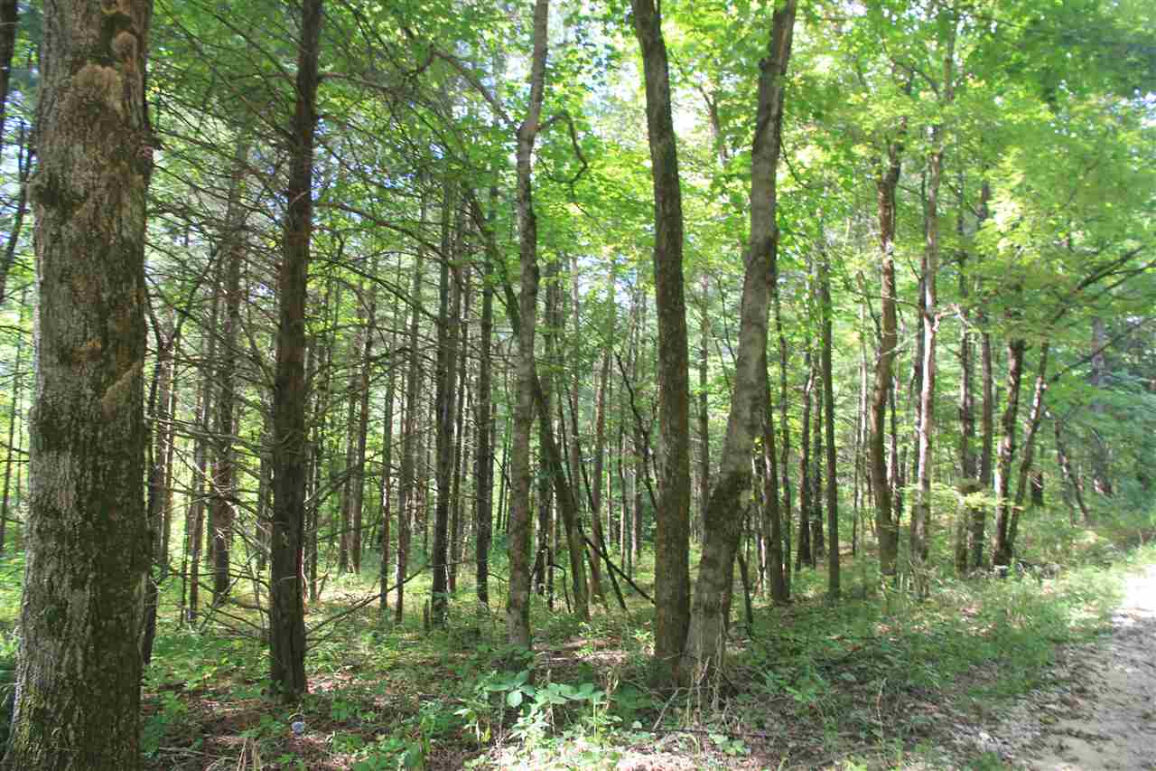 3500 South Dry Branch Road Bloomfield, IN 47424 - Photo 29 of 31 Gallery Image 29