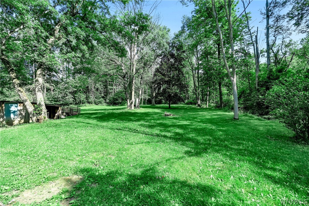 7749 Crabb Hollow Road New Hudson, NY 14717 - Photo 43 of 50