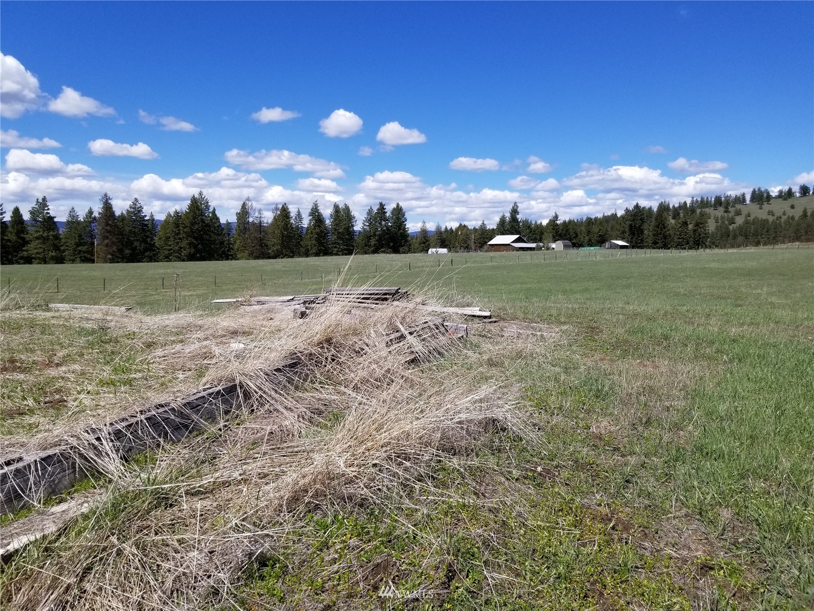 6 Old Ranch Republic, WA 99166 - Photo 8 of 9 a view of a green field