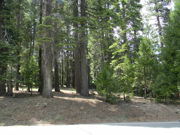 $59,000 | 1015 Timber Ridge Road, Lake Almanor, CA 96137