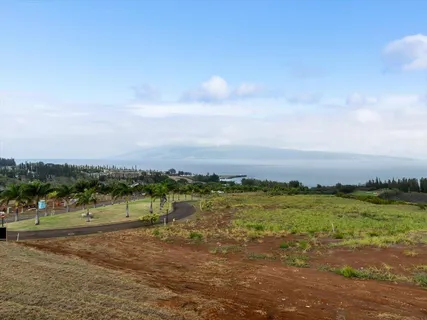 a view of a green field with clear sky