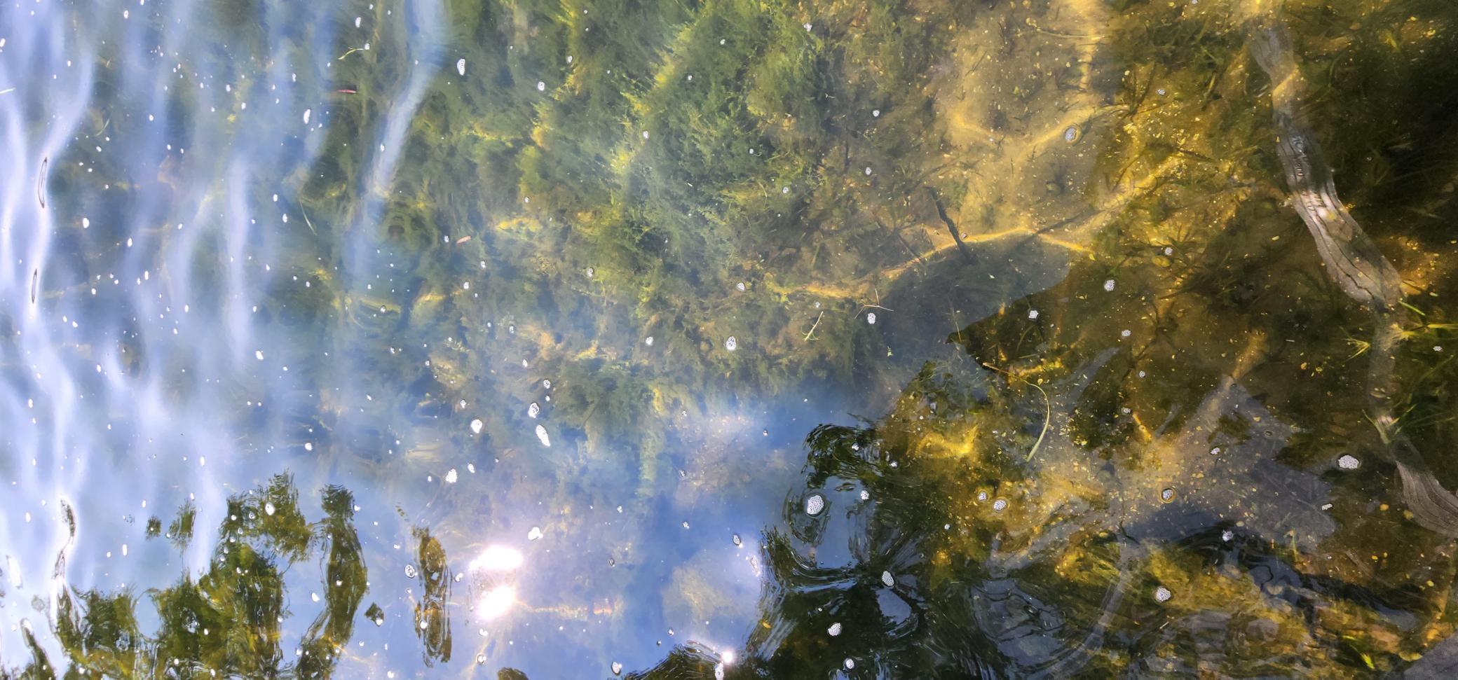 3608 Tolena Road Northeast Alexandria, MN 56308 - Photo 23 of 33