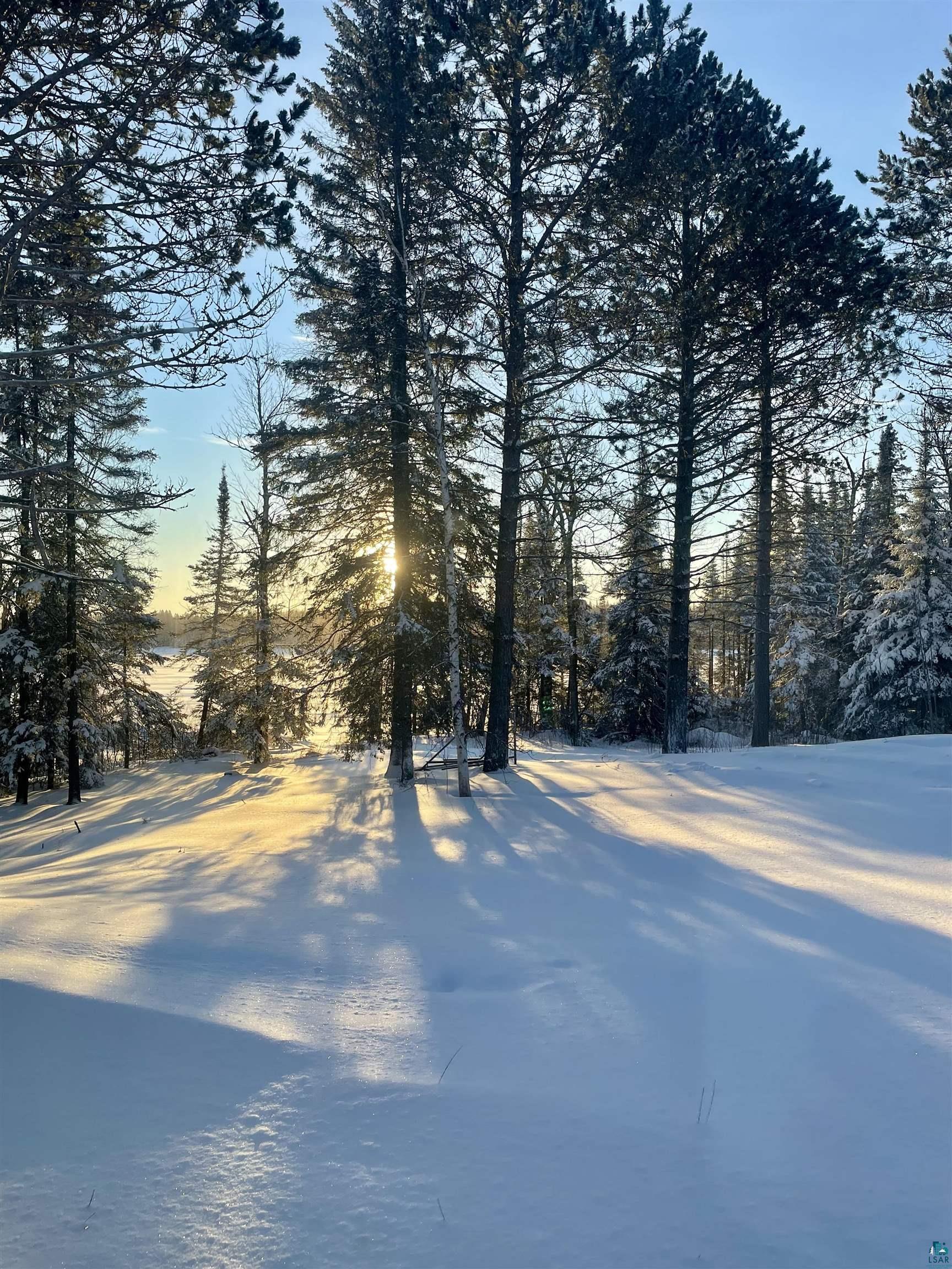 5274 Marble Lake Road Two Harbors, MN 55616 - Photo 79 of 79 Snow-covered landscape featuring a dense forest of evergreen trees