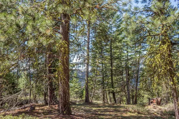 $349,000 | 161 Little Donner Drive, Unit 14, Cascade, ID 83611