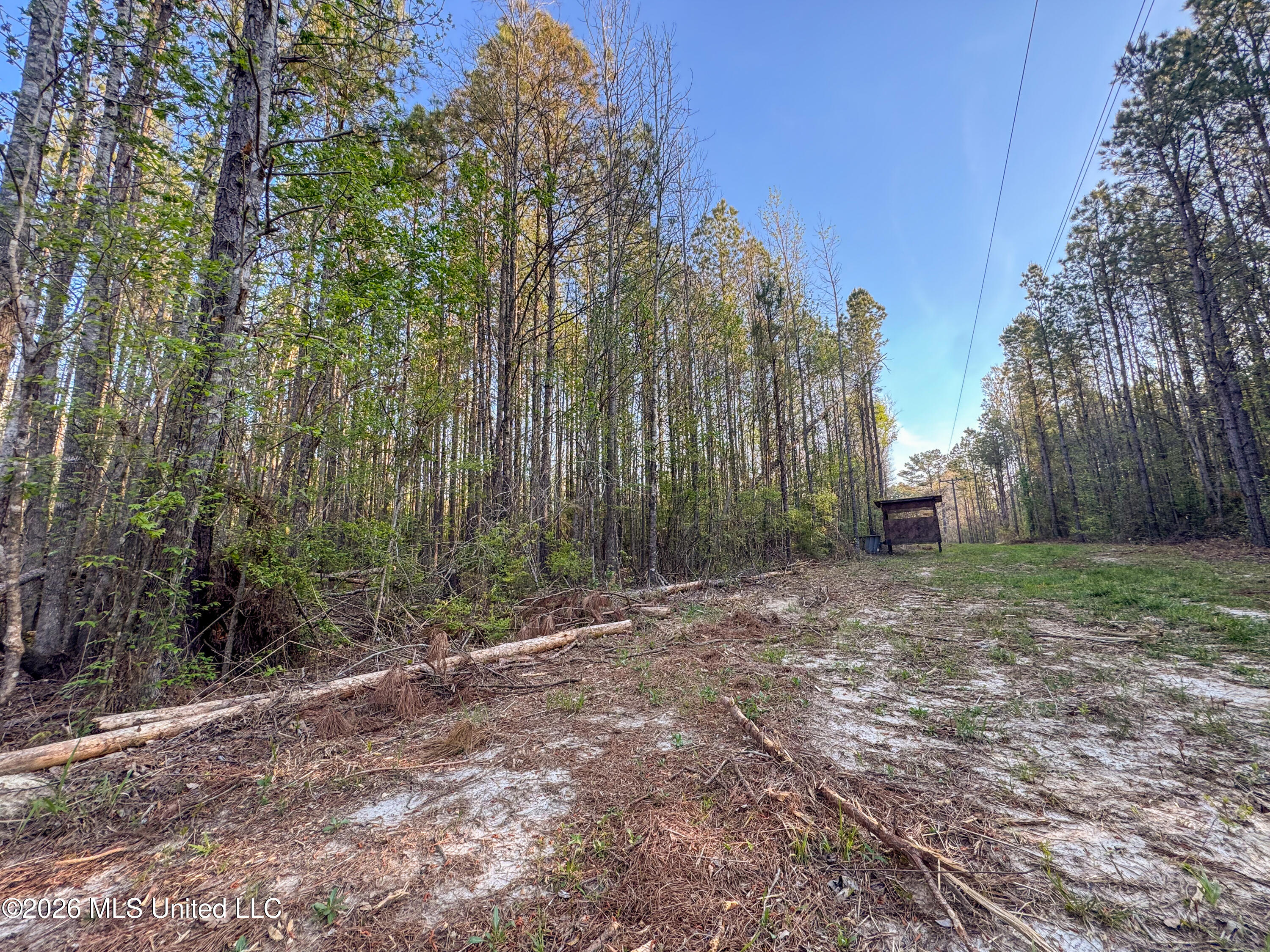 Sand Hill Road Brandon, MS 39047 - Photo 12 of 18 IMG_0786