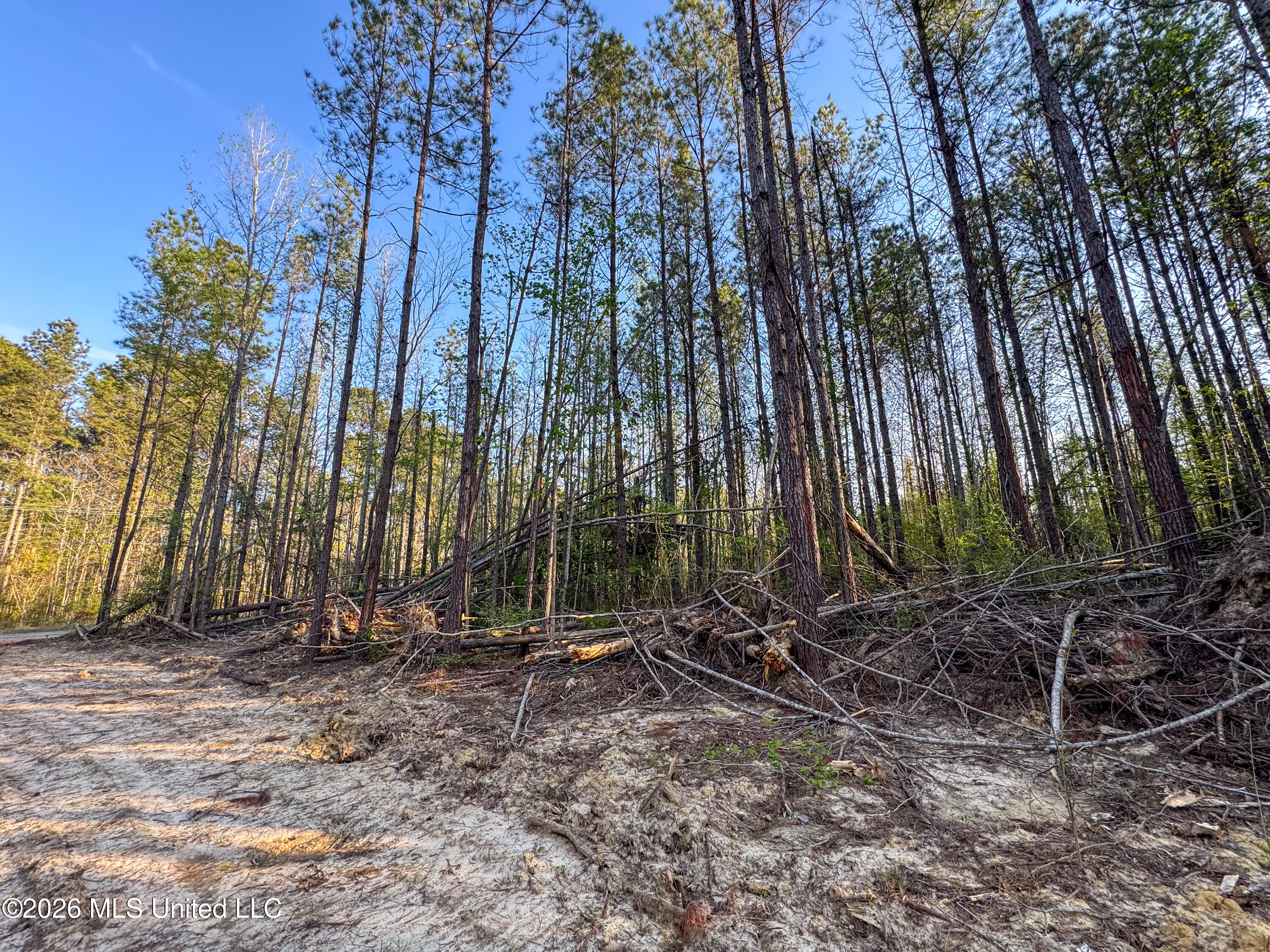 Sand Hill Road Brandon, MS 39047 - Photo 13 of 18 IMG_0787