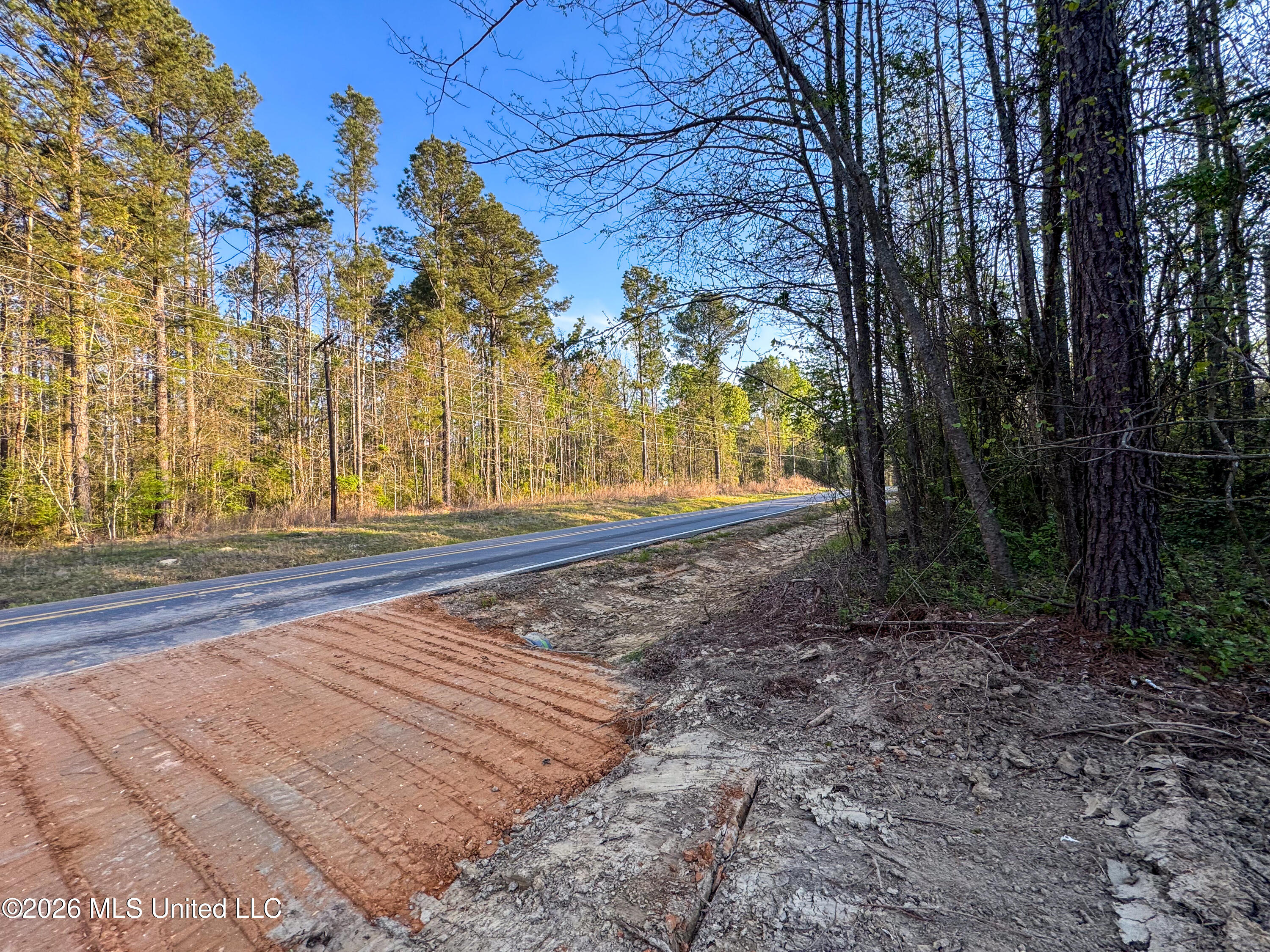 Sand Hill Road Brandon, MS 39047 - Photo 14 of 18 IMG_0788