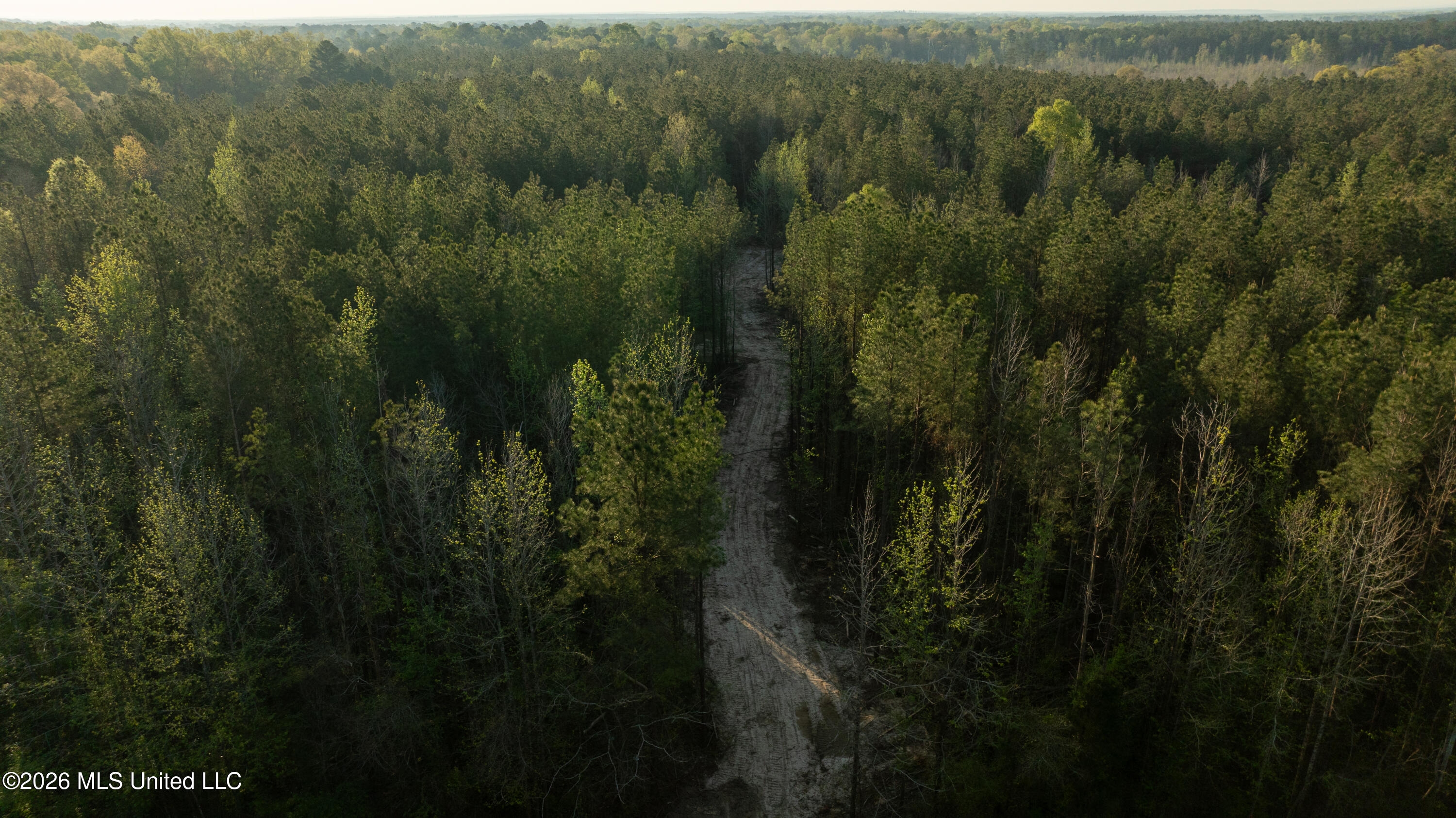 Sand Hill Road Brandon, MS 39047 - Photo 16 of 18 DJI_0003