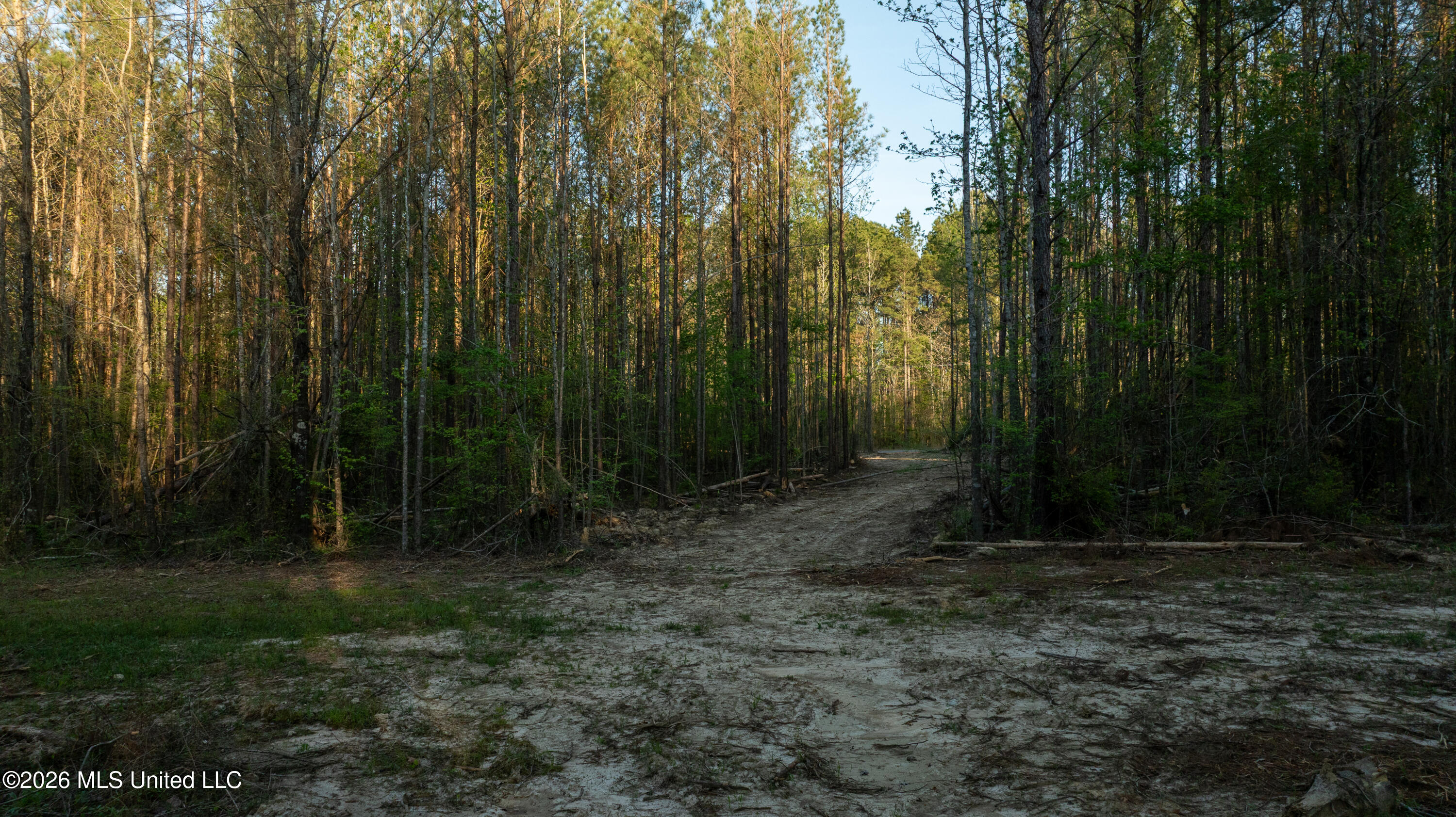 Sand Hill Road Brandon, MS 39047 - Photo 17 of 18 DJI_0007
