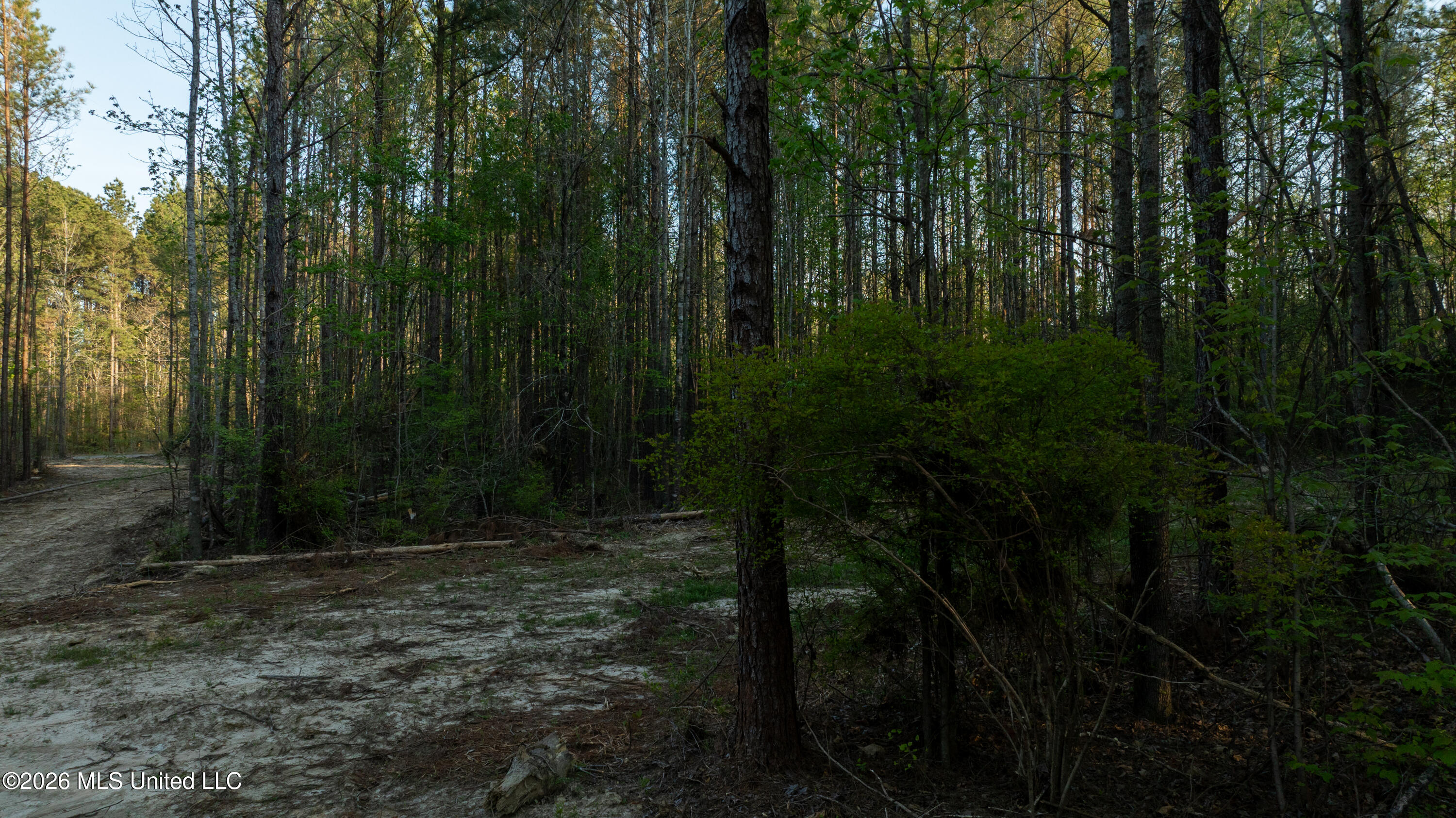 Sand Hill Road Brandon, MS 39047 - Photo 18 of 18 DJI_0008