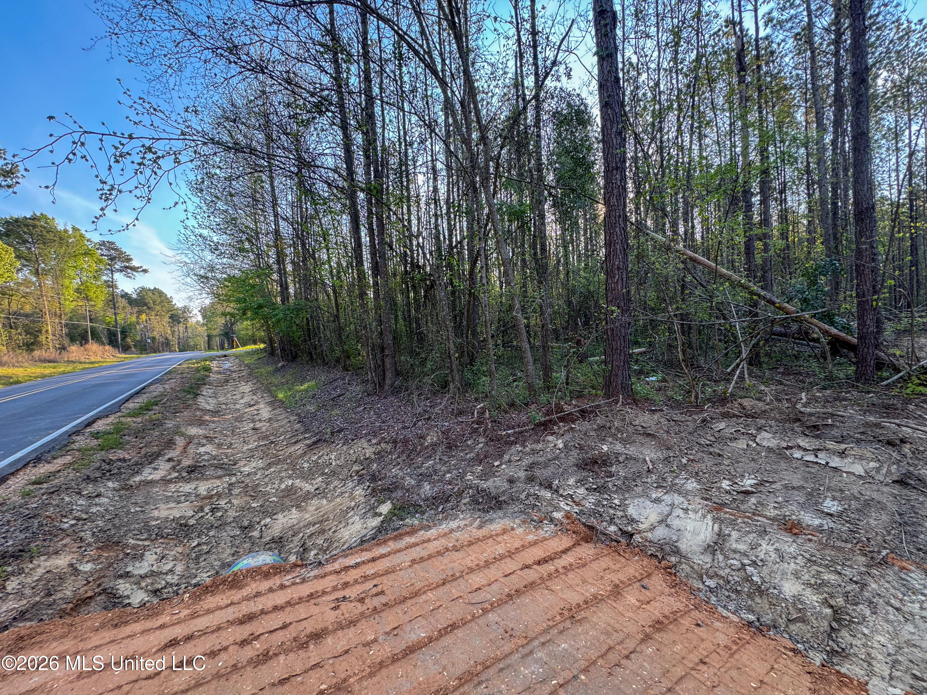 Sand Hill Road Brandon, MS 39047 - Photo 2 of 18 IMG_0772