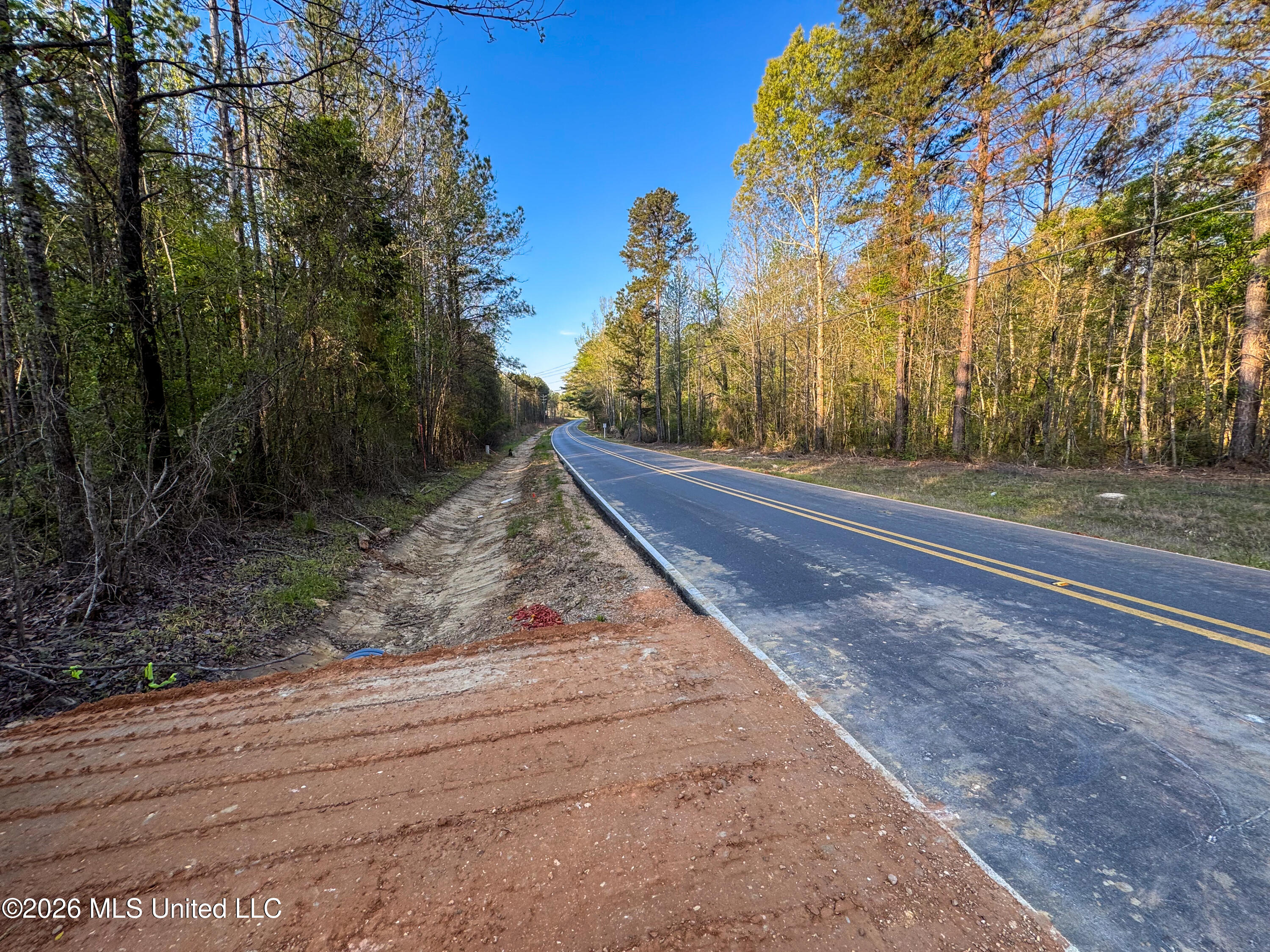 Sand Hill Road Brandon, MS 39047 - Photo 3 of 18 IMG_0773