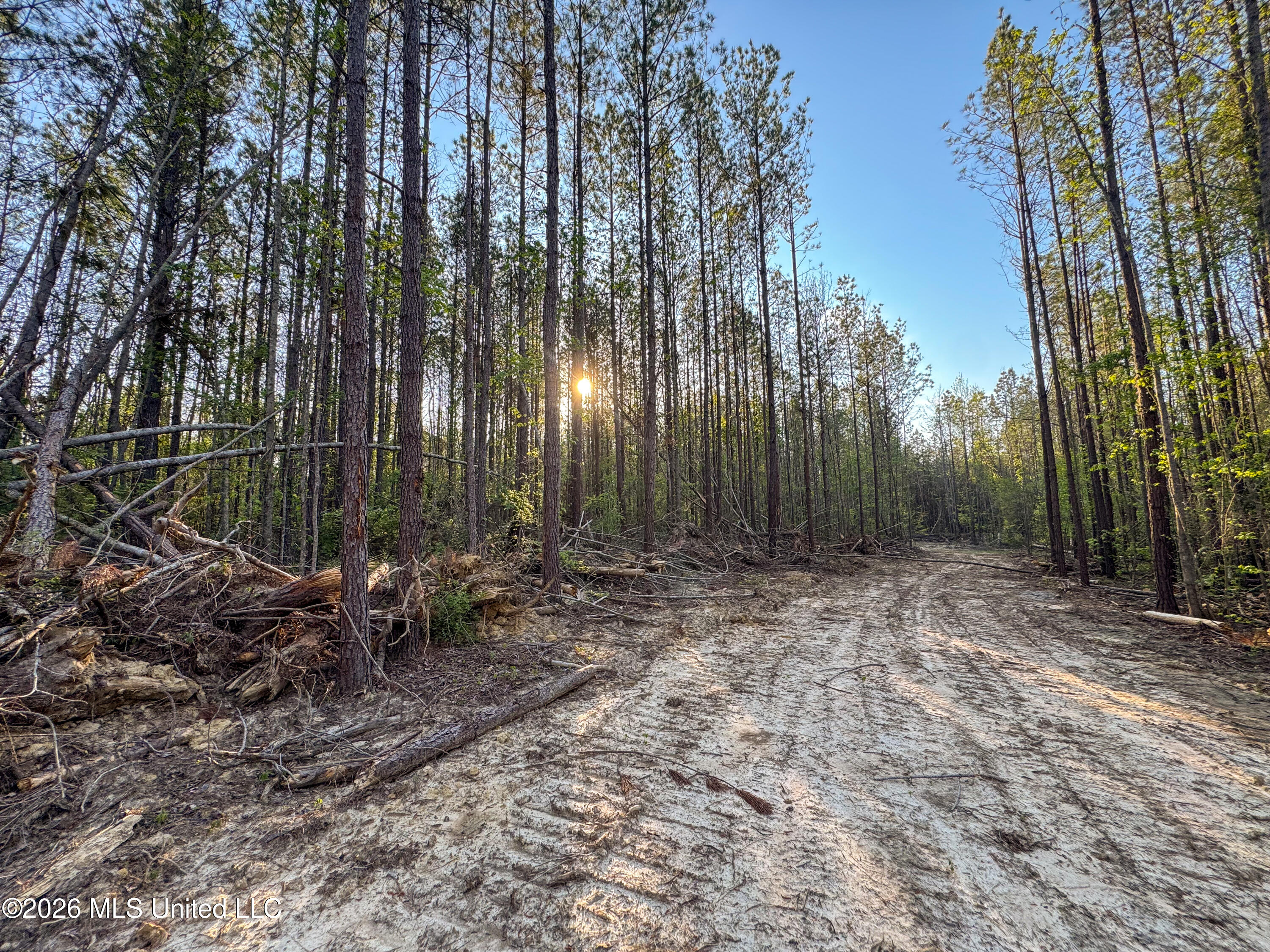 Sand Hill Road Brandon, MS 39047 - Photo 5 of 18 IMG_0775