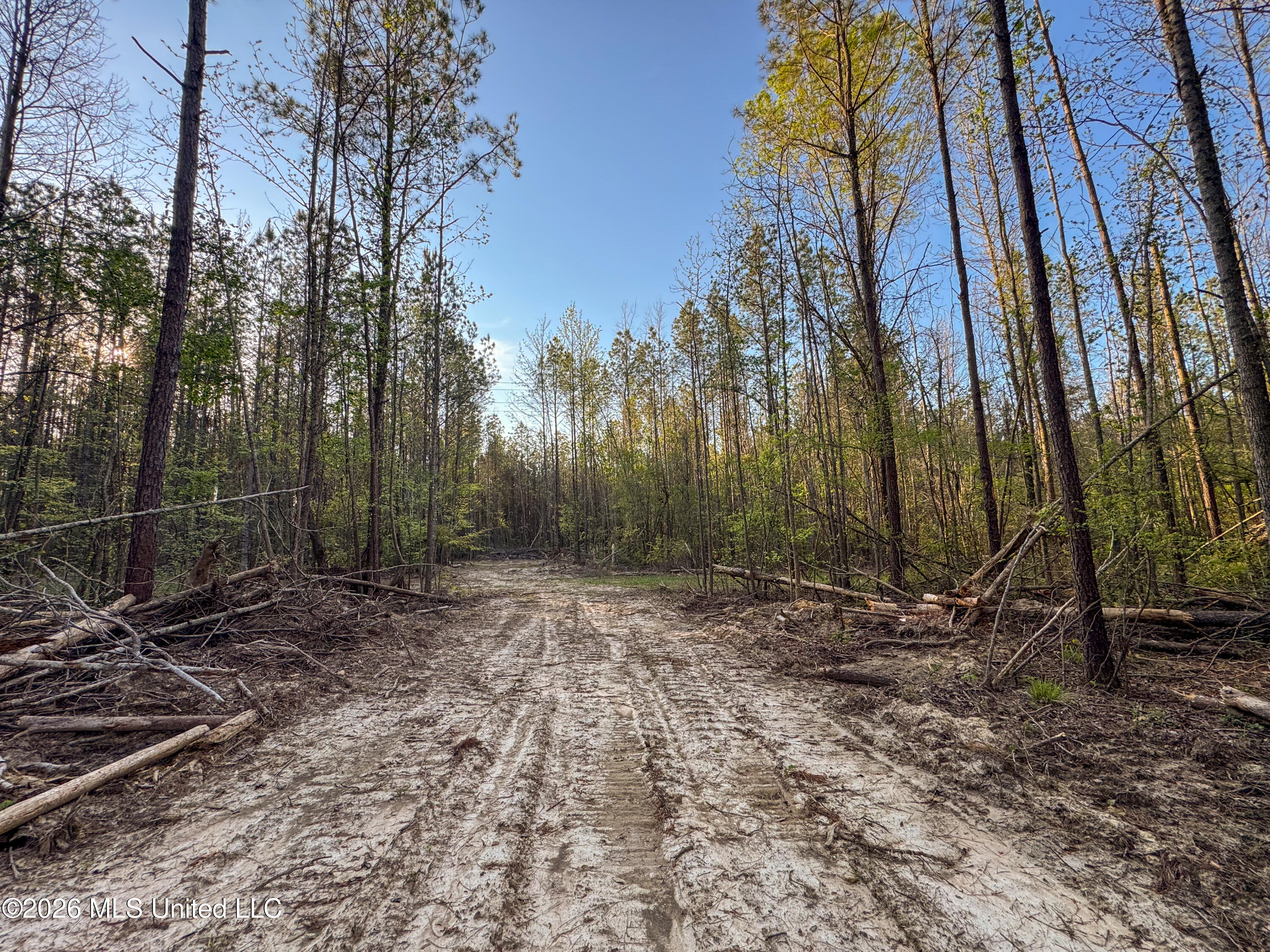 Sand Hill Road Brandon, MS 39047 - Photo 6 of 18 IMG_0778