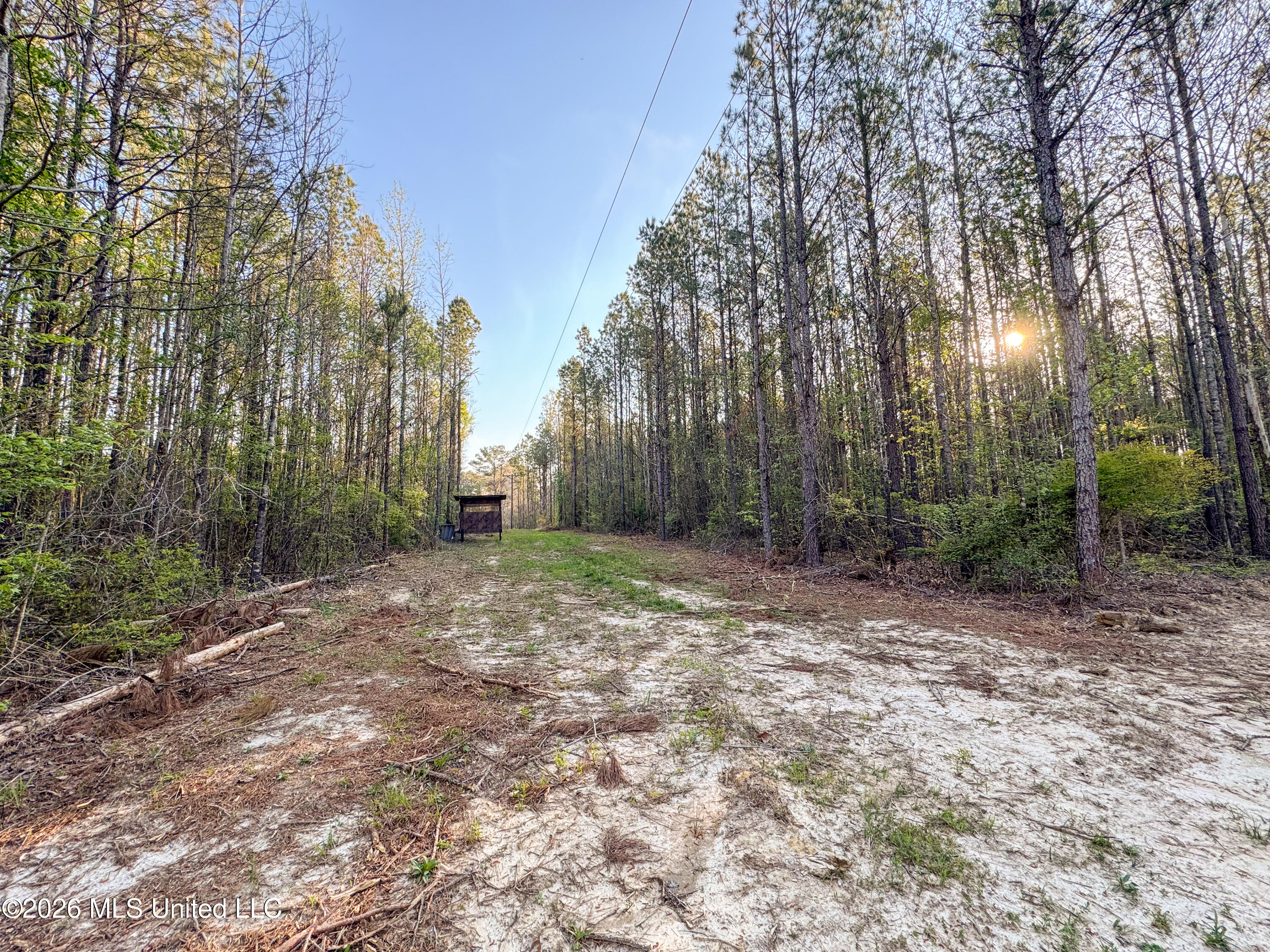 Sand Hill Road Brandon, MS 39047 - Photo 7 of 18 IMG_0779