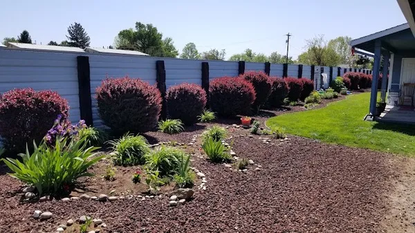 a view of a house and a yard with plants