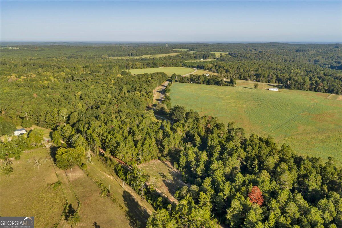 319 Pope Road Roberta, GA 31078 - Photo 52 of 93 Gallery Image 52