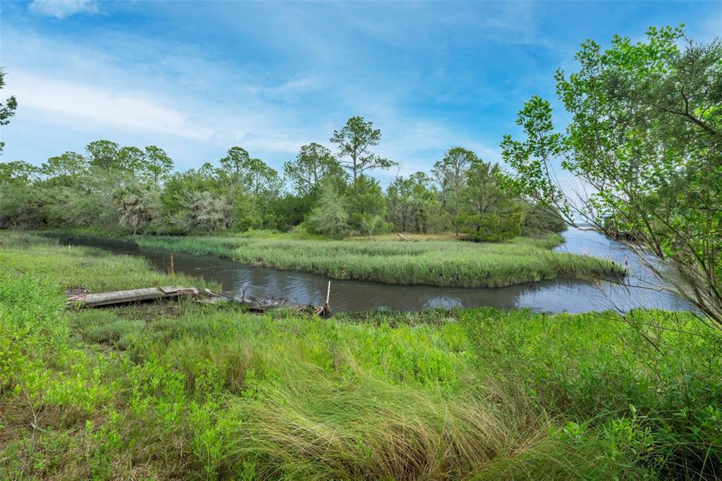 16229 Shellcracker Road Jacksonville, FL 32226 - Photo 52 of 57
