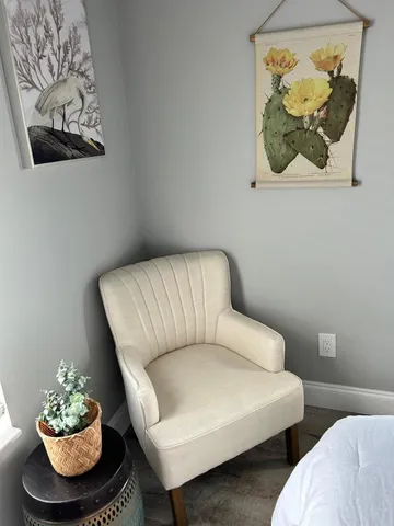 a living room with furniture and a potted plant
