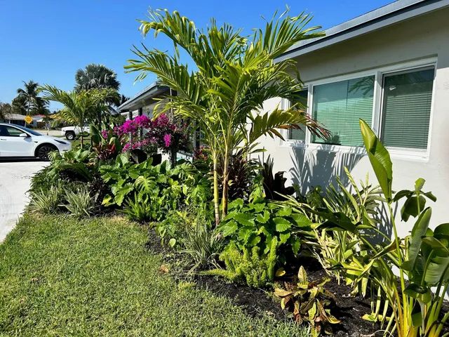 a flower plants in front of a house