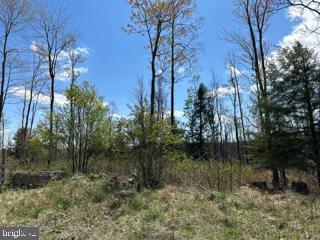 Cherry Ridge Rd Mount Mount Storm, WV 26739 - Photo 5 of 8