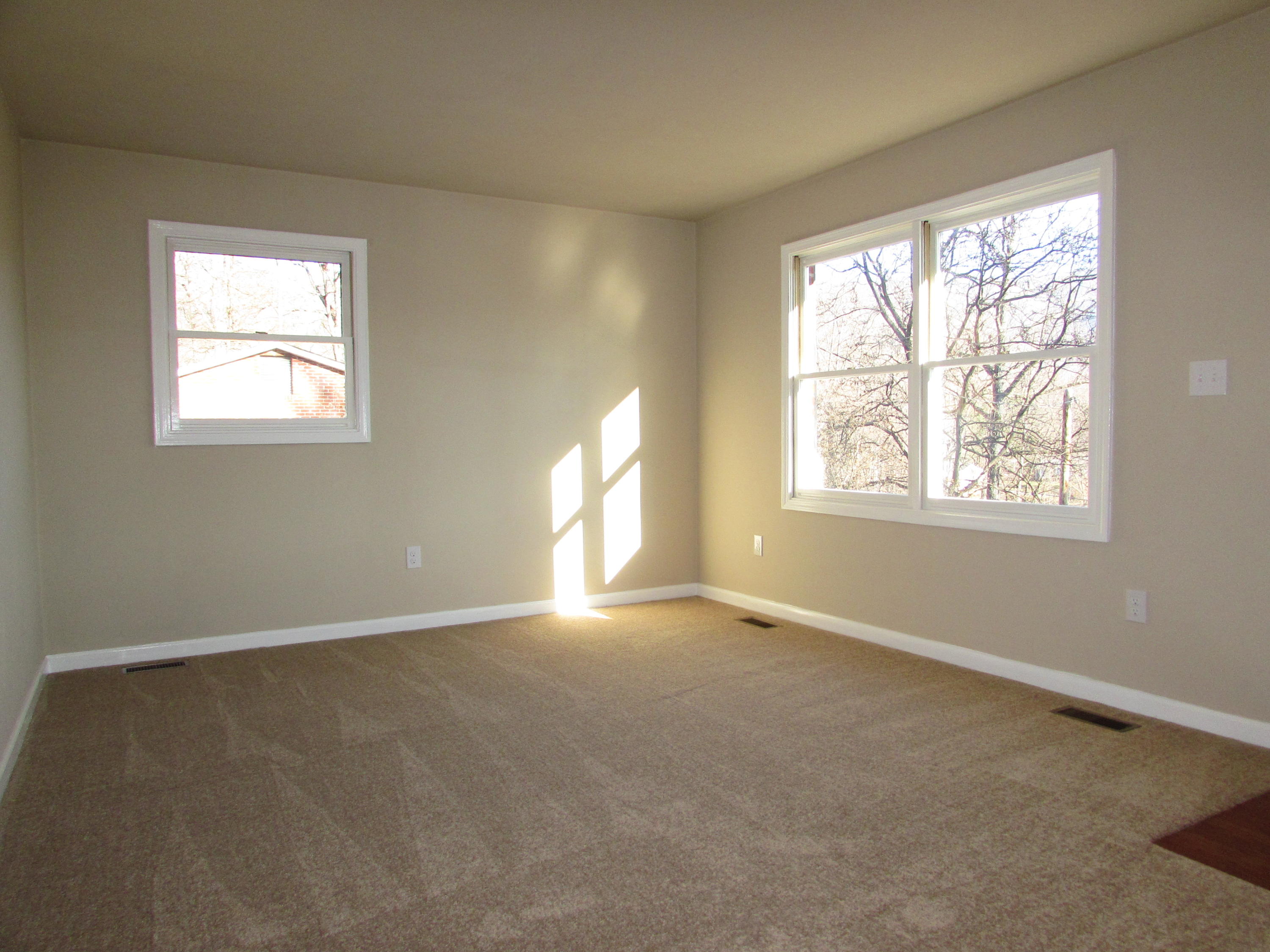 819 Blue Ridge Drive Blue Ridge, VA 24064 - Photo 5 of 15 an empty room with windows