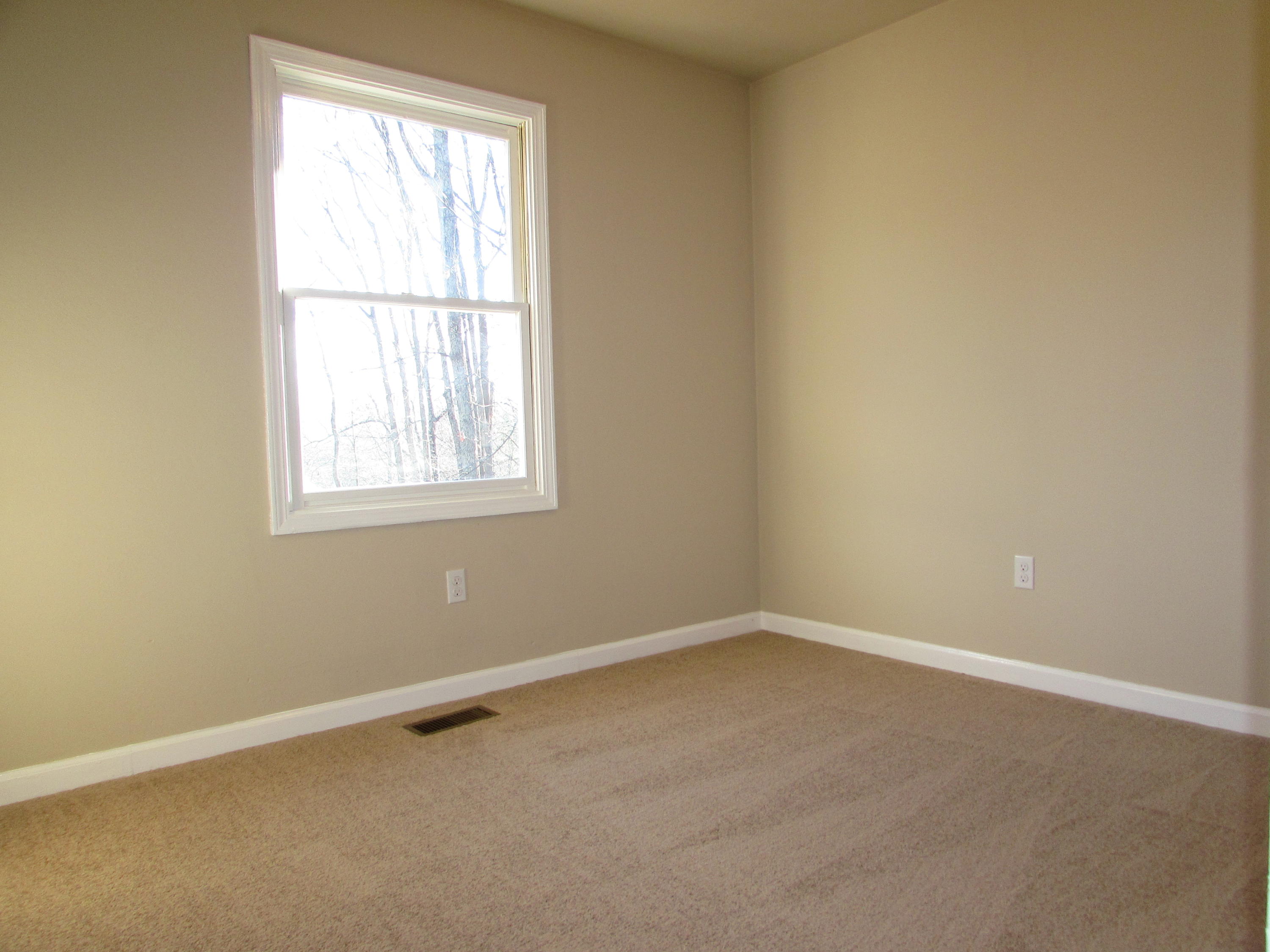 819 Blue Ridge Drive Blue Ridge, VA 24064 - Photo 8 of 15 an empty room with a window
