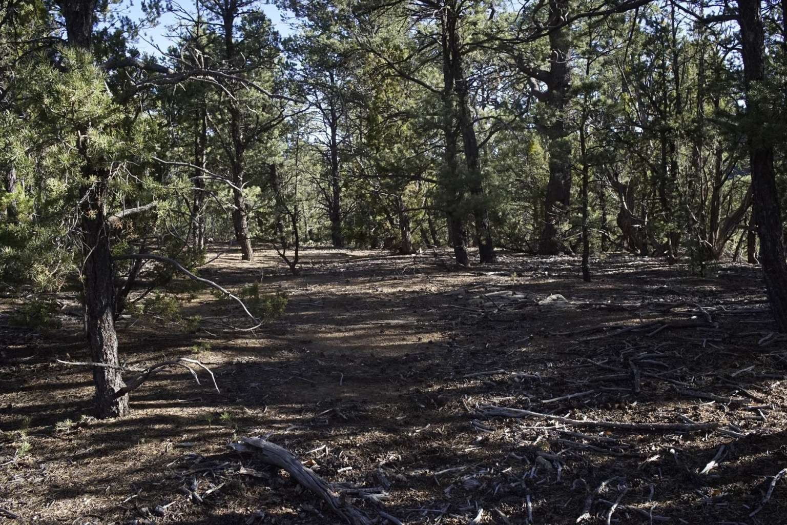 0 Pinon Ridge Road Pecos, NM 87552 - Photo 25 of 39