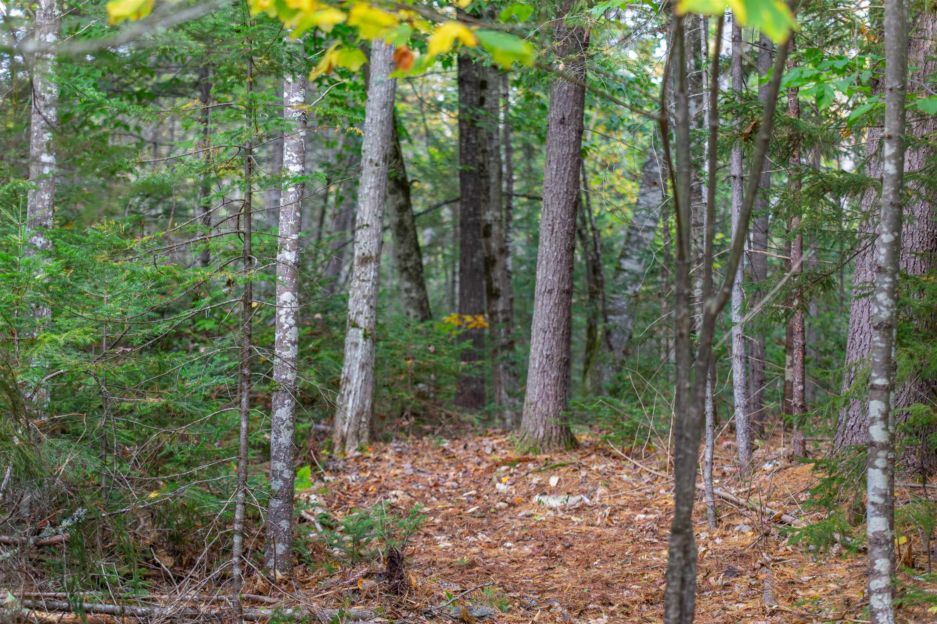 141 Locke Falls Road Tamworth, NH 03897 - Photo 1 of 21 Gallery Image 1