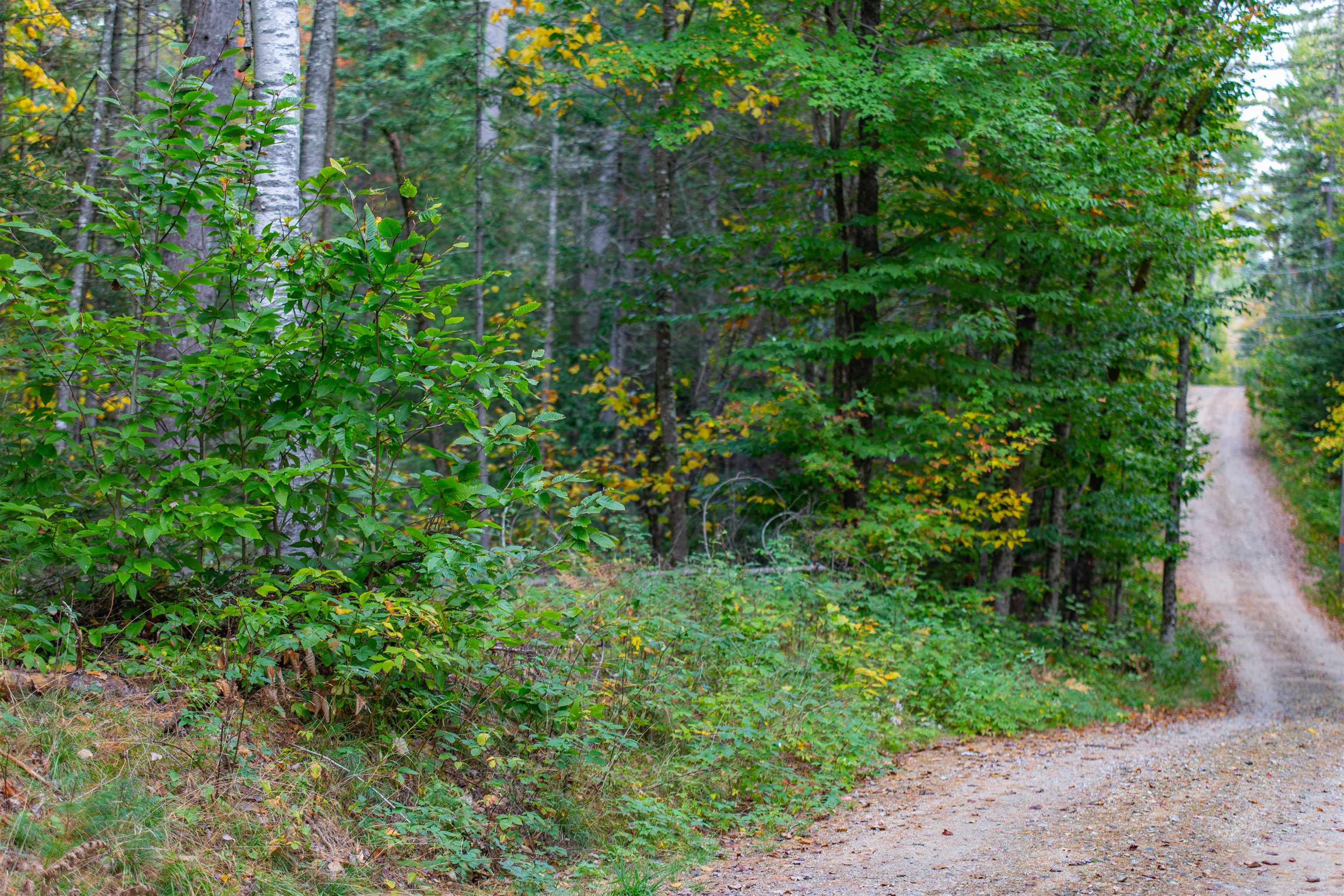 141 Locke Falls Road Tamworth, NH 03897 - Photo 13 of 21 Gallery Image 13